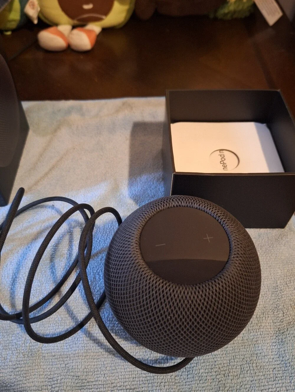 Home Pod Mini